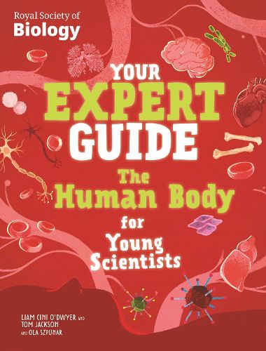 Cover image for Your Expert Guide: The Human Body for Young Scientists