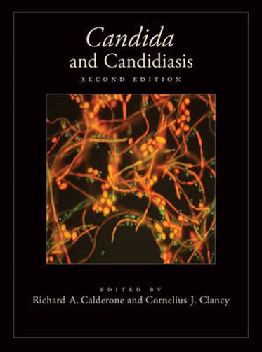 Cover image for Candida and Candidiasis