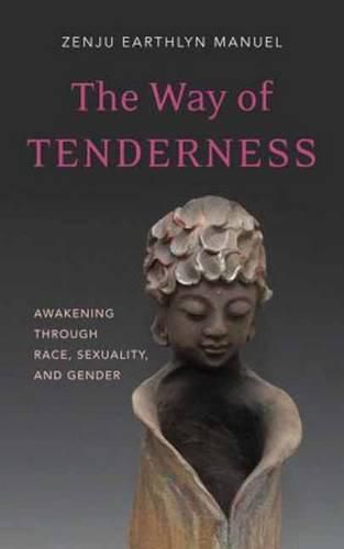 Cover image for Way of Tenderness: Awakening Through Race, Sexuality, and Gender