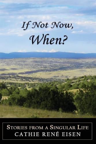 Cover image for If Not Now, When?: Stories from a Singular Life