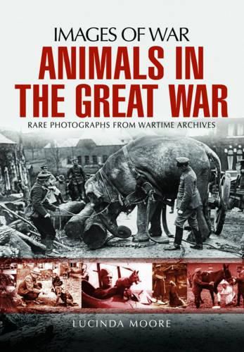 Cover image for Animals in the Great War