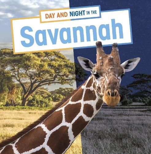 Day and Night in the Savannah