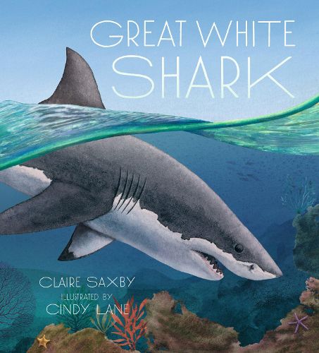Cover image for Great White Shark