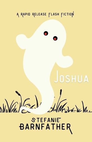 Cover image for Joshua