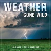 Cover image for 2025 Weather Gone Wild Wall Calendar