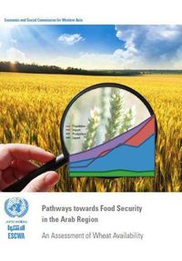 Cover image for Pathways towards food security in the Arab region: an assessment of wheat availability