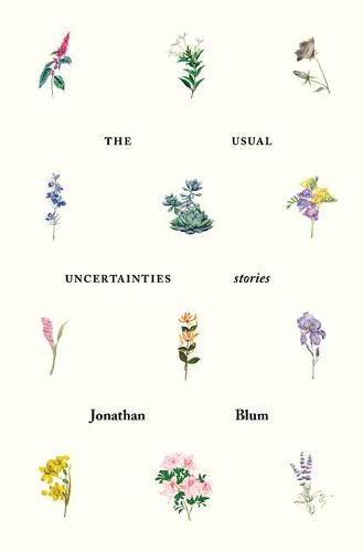 Cover image for The Usual Uncertainties: Stories