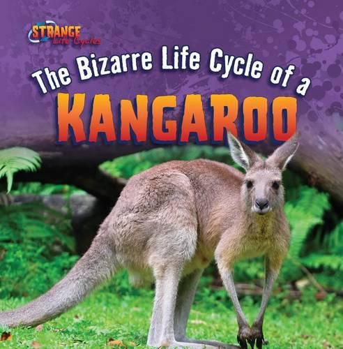 Cover image for The Bizarre Life Cycle of a Kangaroo