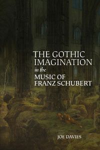 Cover image for The Gothic Imagination in the Music of Franz Schubert