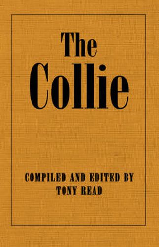 Cover image for The Collie Or Sheepdog In Show And Work - Its History & Origins