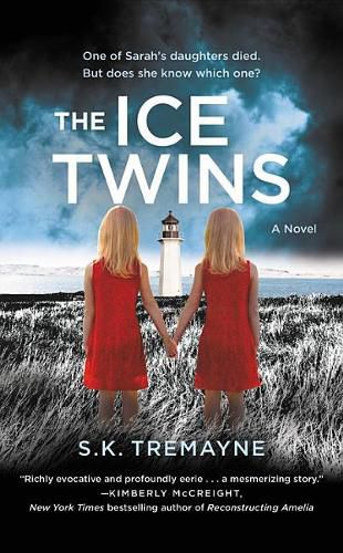 Cover image for The Ice Twins