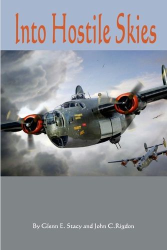 Cover image for Into Hostile Skies