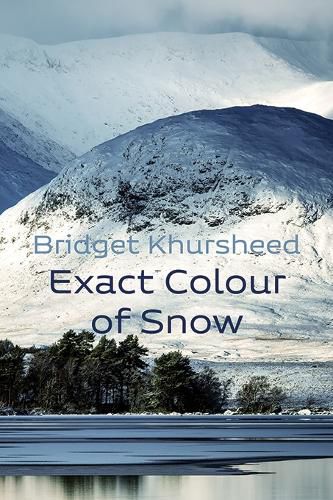 Cover image for Exact Colour of Snow