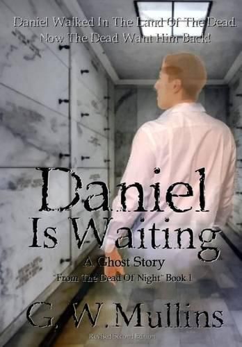 Cover image for Daniel Is Waiting A Ghost Story