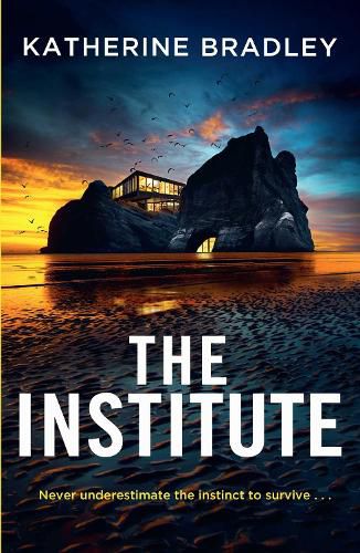 Cover image for The Institute