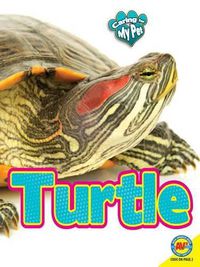 Cover image for Turtle