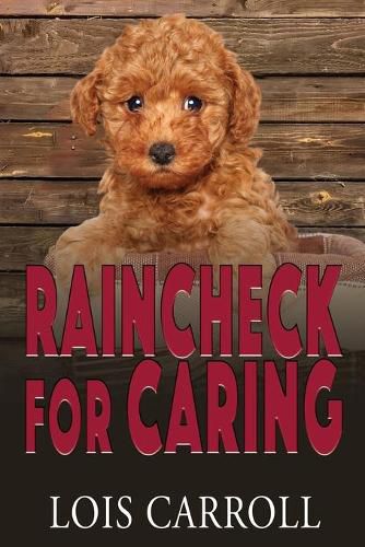 Cover image for Raincheck for Caring