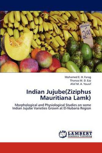 Cover image for Indian Jujube(Ziziphus Mauritiana Lamk)