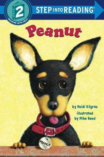 Cover image for Peanut