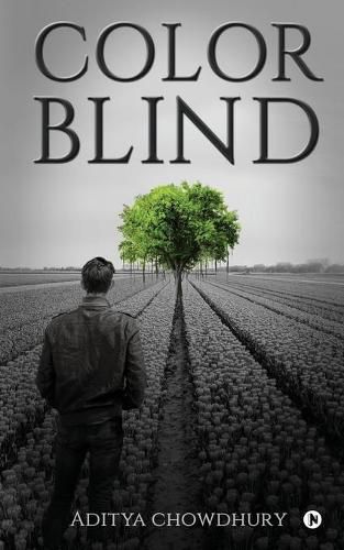Cover image for Colorblind