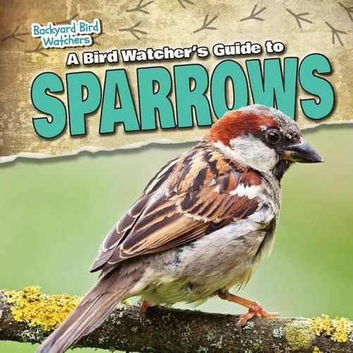 Cover image for A Bird Watcher's Guide to Sparrows