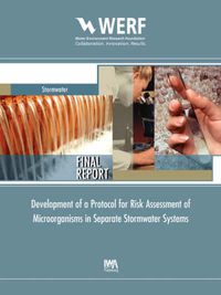 Cover image for Development of a Protocol for Risk Assessment of Microorganisms in Separate Stormwater Systems