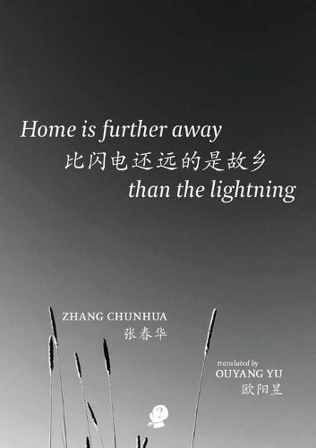 Cover image for Home Is Further Away than the Lightning