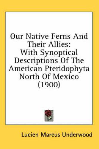 Cover image for Our Native Ferns and Their Allies: With Synoptical Descriptions of the American Pteridophyta North of Mexico (1900)