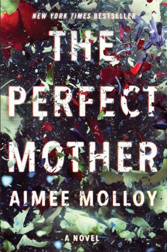 Cover image for The Perfect Mother