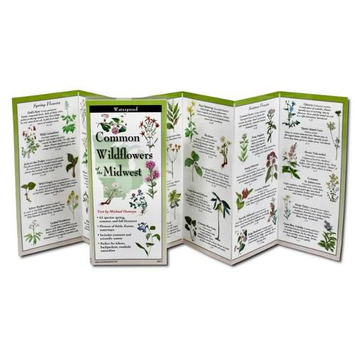 Cover image for Common Wildflowers of the Midwest