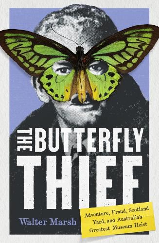 Cover image for The Butterfly Thief