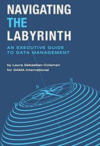Cover image for Navigating the Labyrinth: An Executive Guide to Data Management