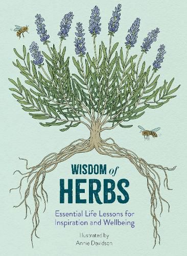 Cover image for Wisdom of Herbs