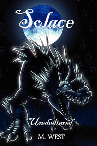 Cover image for Solace