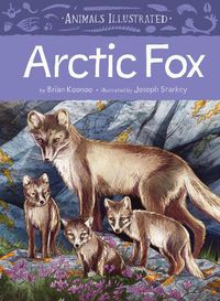 Cover image for Animals Illustrated: Arctic Fox