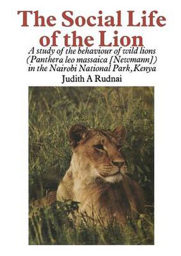 Cover image for The Social Life of the Lion: A study of the behaviour of wild lions (Panthera leo massaica [Newmann]) in the Nairobi National Park, Kenya