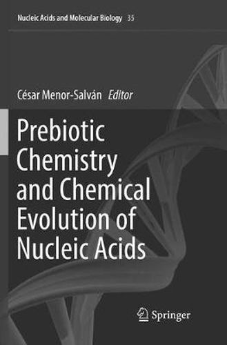 Cover image for Prebiotic Chemistry and Chemical Evolution of Nucleic Acids