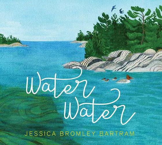 Cover image for Water Water