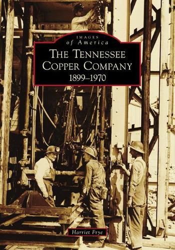 Cover image for The Tennessee Copper Company: 1899-1970