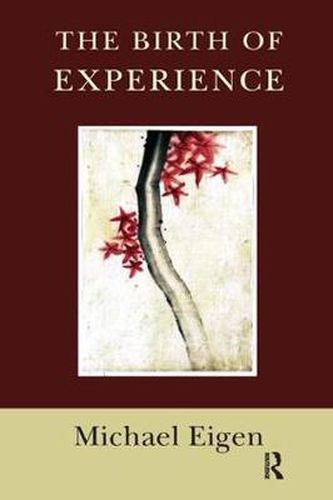 Cover image for The Birth of Experience