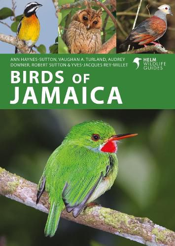 Cover image for Birds of Jamaica