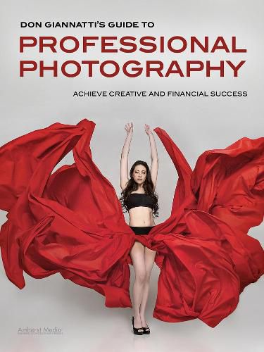 Cover image for Professional Photography: A Guide to Achieving Creative and Financial Success