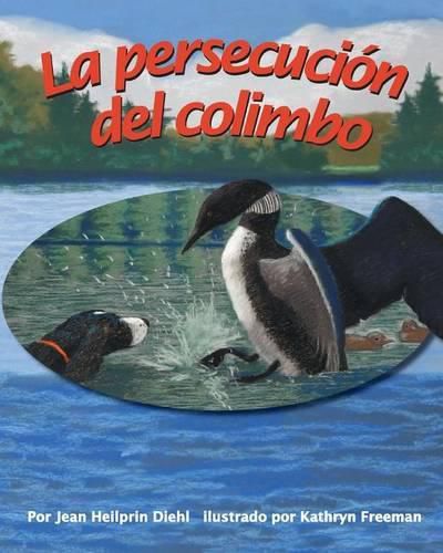 La Persecucion del Colimbo (Loon Chase)