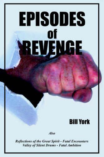 Cover image for Episodes of Revenge