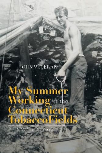 Cover image for My Summer Working in the Connecticut Tobacco Fields: And Other Commentaries
