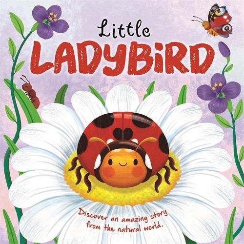 Cover image for Little Ladybird