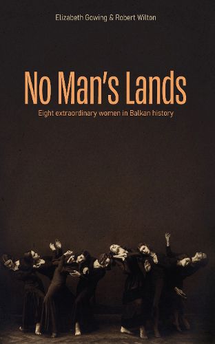 Cover image for No Man's Lands