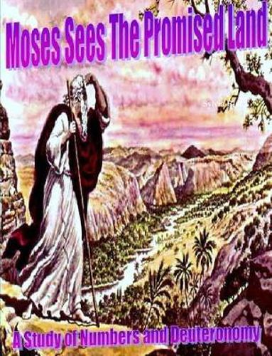 Cover image for "Moses Sees the Promised Land" A Study of Numbers and Deuteronomy