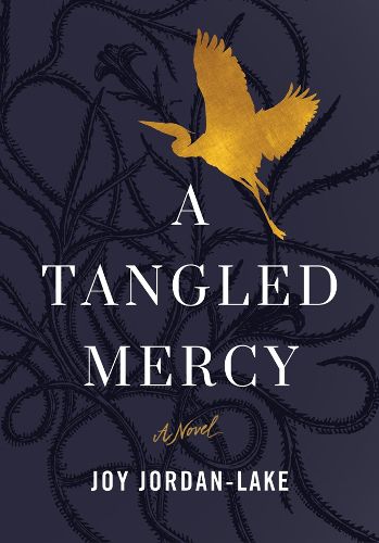 Cover image for A Tangled Mercy: A Novel