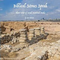 Cover image for Biblical Stones Speak